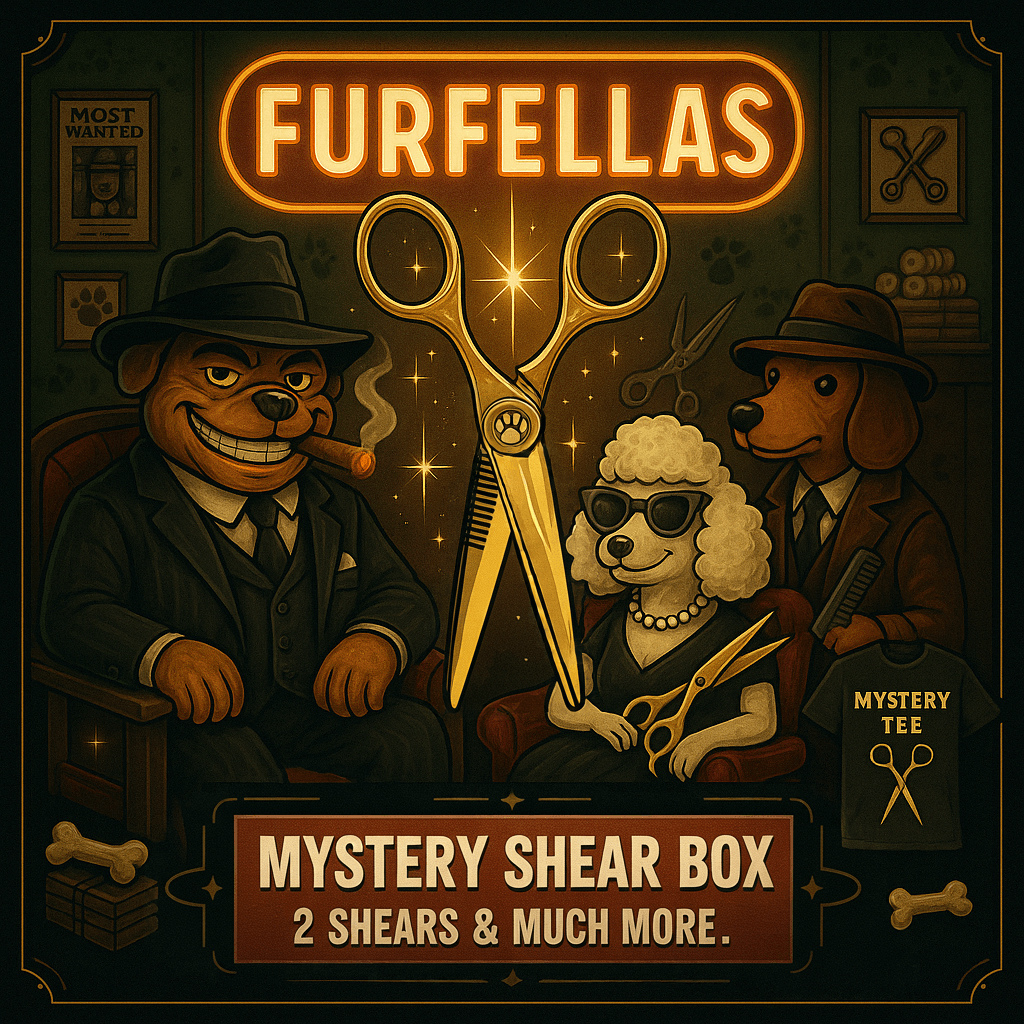 Now Live: All-Star Best Selling Mystery Boxes