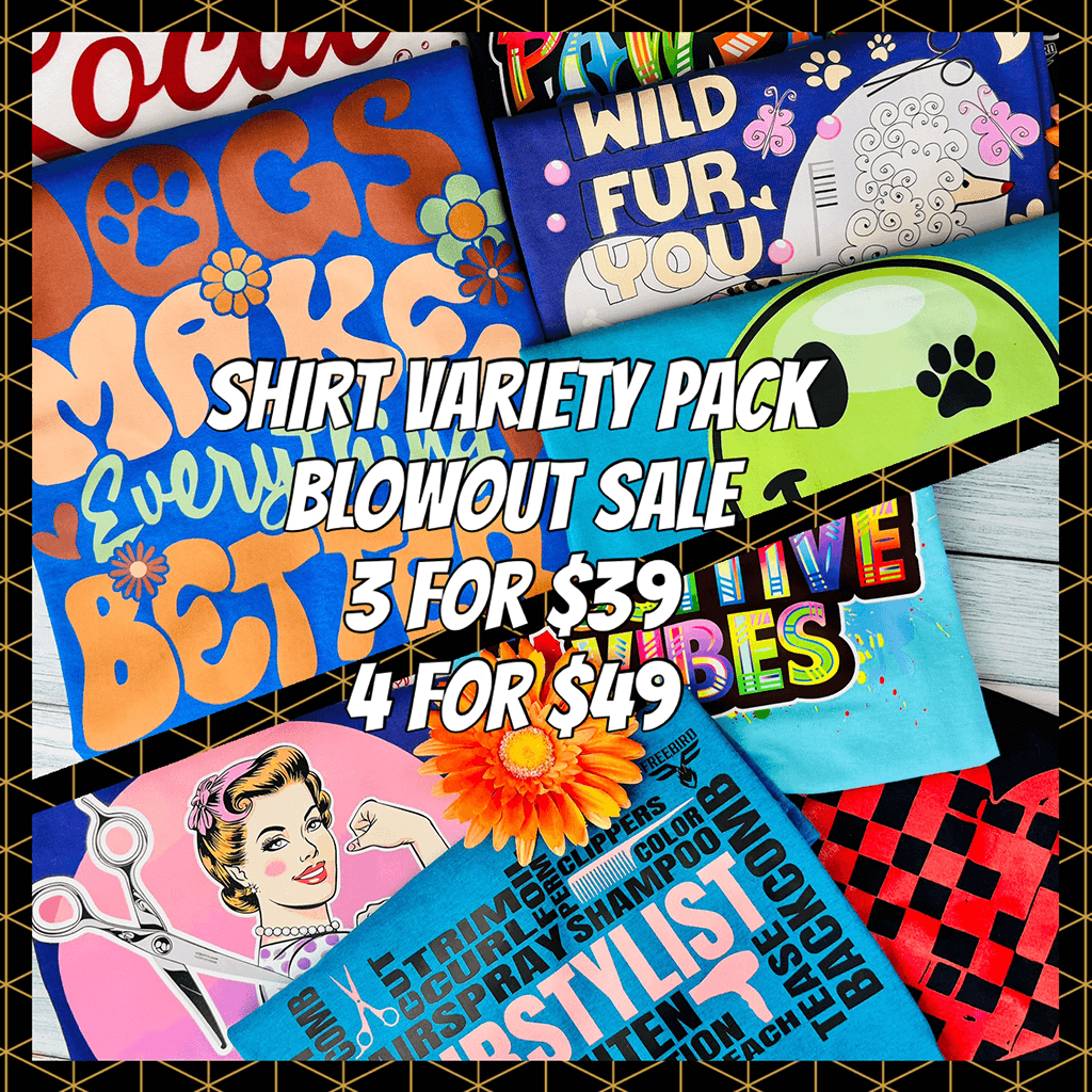 Super Fun Mystery Shirt pack 2025