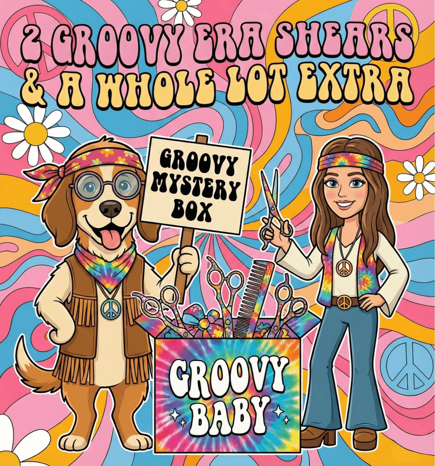 In My Era Groovy Box
