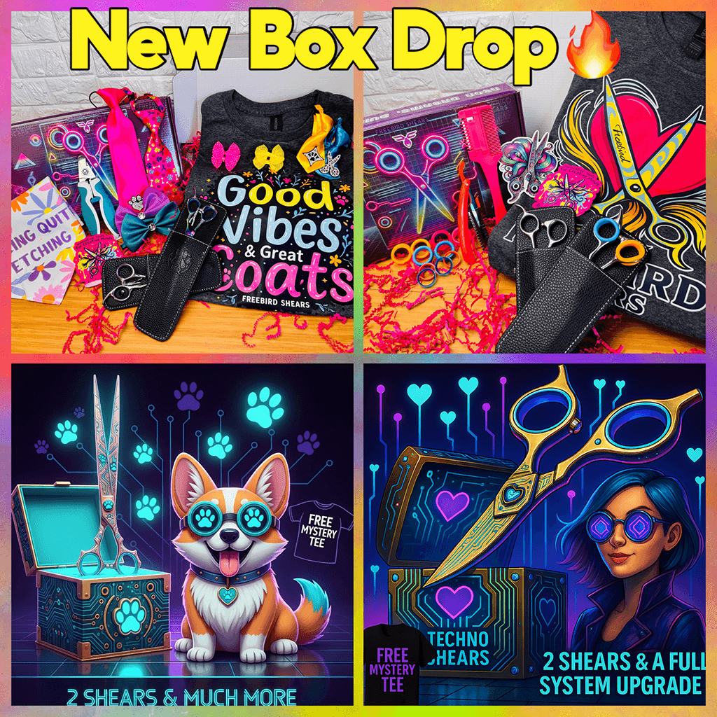 The Drop Is Here – Circuit. Vibes. Fellas + All Stars!
