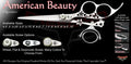 American Beauty 3 Hole Double Swivel Thumb Signature Hair Shears