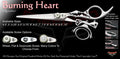 Burning Heart Double Swivel Thumb Signature Hair Shears