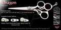 Dragon 3 Hole Signature Hair Shears