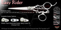 Easy Rider Swivel Thumb Signature Hair Shears