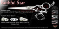 Faithfull Star Double Swivel Thumb Signature Hair Shears