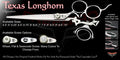 Texas Longhorn 3 Hole Double Swivel Thumb Signature Grooming Shears