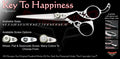 Key To Happiness Signature Hair Shears