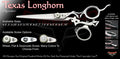 Texas Longhorn Swivel Thumb Signature Hair Shears