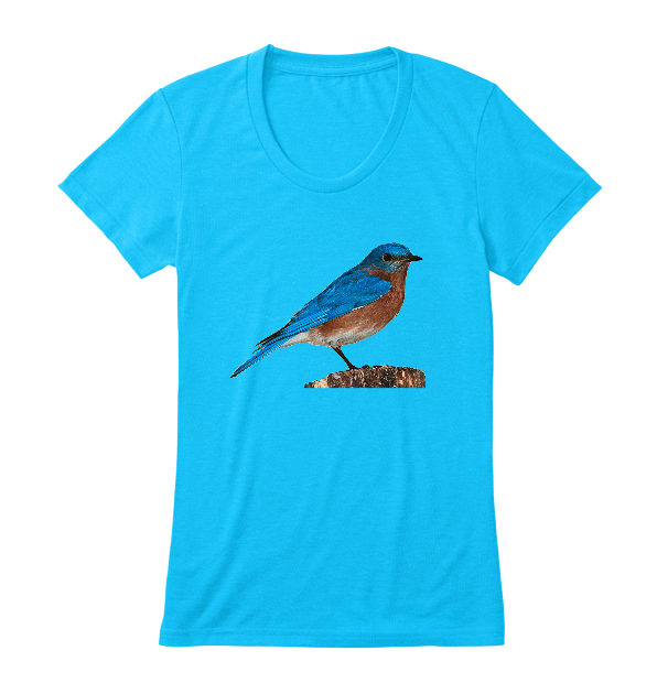 womens-premium-tee-front-00c4ff